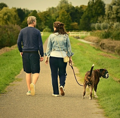 Ett par som går med sin hund i parken