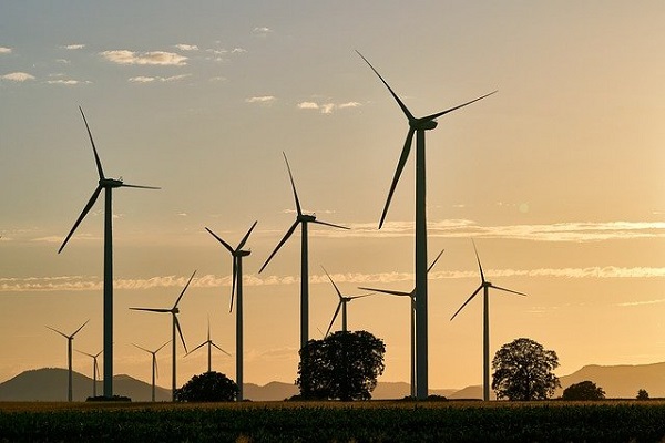 Ett fält med vindkraftverk